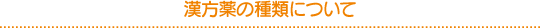 漢方薬の種類
